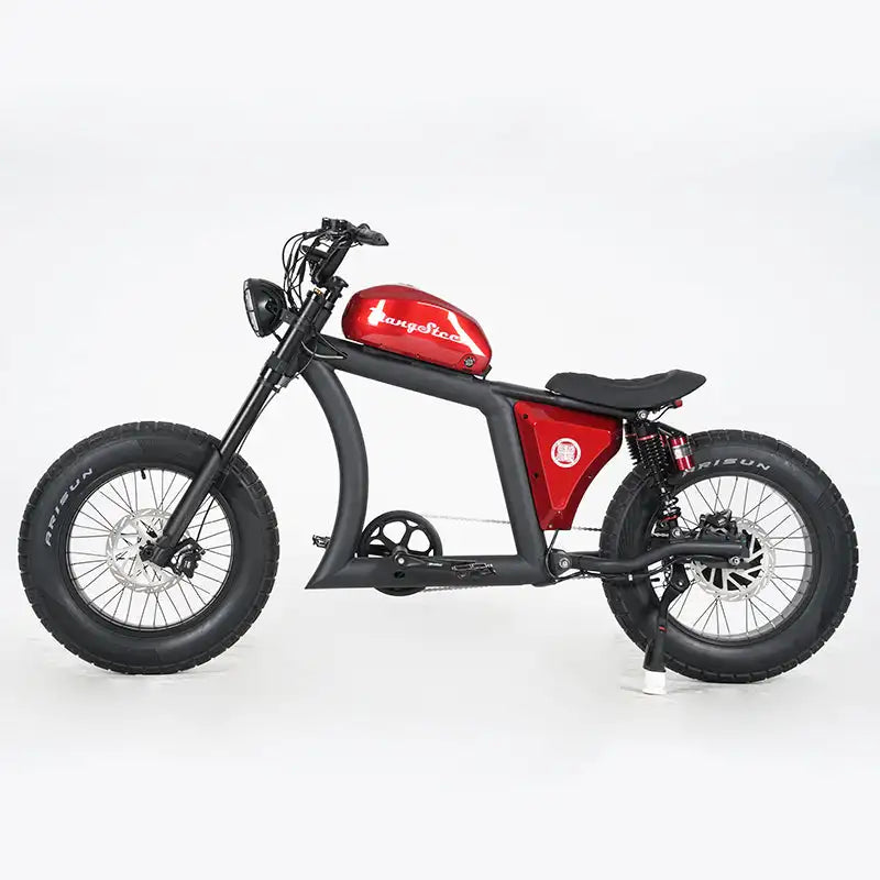 Chopper Off-Road Motorfiets FT02 750W Motor 48V 22.5AH battery Bereik tot 120km 25km/u China