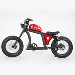 Chopper Off-Road Motorfiets FT02 750W Motor 48V 22.5AH battery Bereik tot 120km 25km/u China