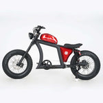 Chopper Off-Road Motorfiets FT02 750W Motor 48V 22.5AH battery Bereik tot 120km 25km/u China