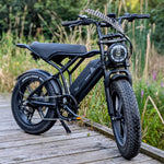 20 Inch Electric Mountainbike 250W Fat tire E-bike adults Off-Road Dirt Ebike Trapondersteuning 48V EU warehouse electric bicycle