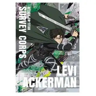 Attack on Titan Ichiban Kuji Mega Poster Prize G 'Levi' JAP Anime 100g kg Manual edition Levi