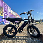 20 Inch Electric Mountainbike 250W Fat tire E-bike adults Off-Road Dirt Ebike Trapondersteuning 48V EU warehouse electric bicycle