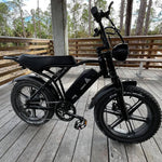 20 Inch Electric Mountainbike 250W Fat tire E-bike adults Off-Road Dirt Ebike Trapondersteuning 48V EU warehouse electric bicycle