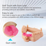 EU free shipping Antinsky gingiva resin for DLP LCD Resin 3D printer 405nm 0.5kg high elasticity and low odor photopolymer resins