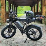 20 Inch Electric Mountainbike 250W Fat tire E-bike adults Off-Road Dirt Ebike Trapondersteuning 48V EU warehouse electric bicycle
