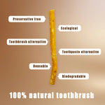 6-pack natural plantentanden miswak-sticks - vacuum packed traditionele mondverzorging takjes with kruidnagelsmaak for frisse adem