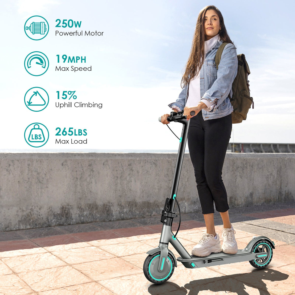 D8PRO Electric Scooter foldable 250W Motor 10.5Ah battery LCD-display City E-Scooter