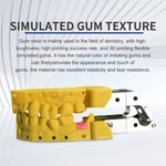 EU free shipping Antinsky gingiva resin for DLP LCD Resin 3D printer 405nm 0.5kg high elasticity and low odor photopolymer resins