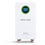 EU VS Overzeese stock 48V 51.2V 16KWh LiFePO4 Lithium-ion Batterijpakket 210A Thuis Zonne-energiesysteem DATOU BOSS