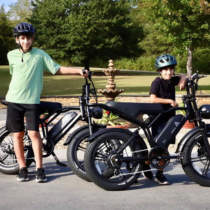 20 Inch Electric Mountainbike 250W Fat tire E-bike adults Off-Road Dirt Ebike Trapondersteuning 48V EU warehouse electric bicycle