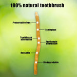 6-pack natural plantentandenborstels Miswak-sticks - vacuum packed traditionele mondverzorging takjes with muntsmaak for frisse adem