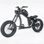 Chopper Off-Road Motorfiets FT02 750W Motor 48V 22.5AH battery Bereik tot 120km 25km/u China