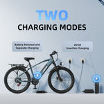 Aairsk Europe 250W 36V 13Ah lithium battery electric bicycle Unisex Simpele Style for adults 7-Gears Carbon Steel City bike